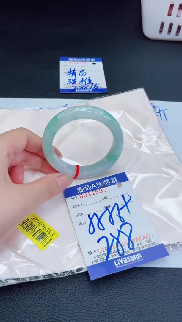 未镶嵌手镯翡翠我t1