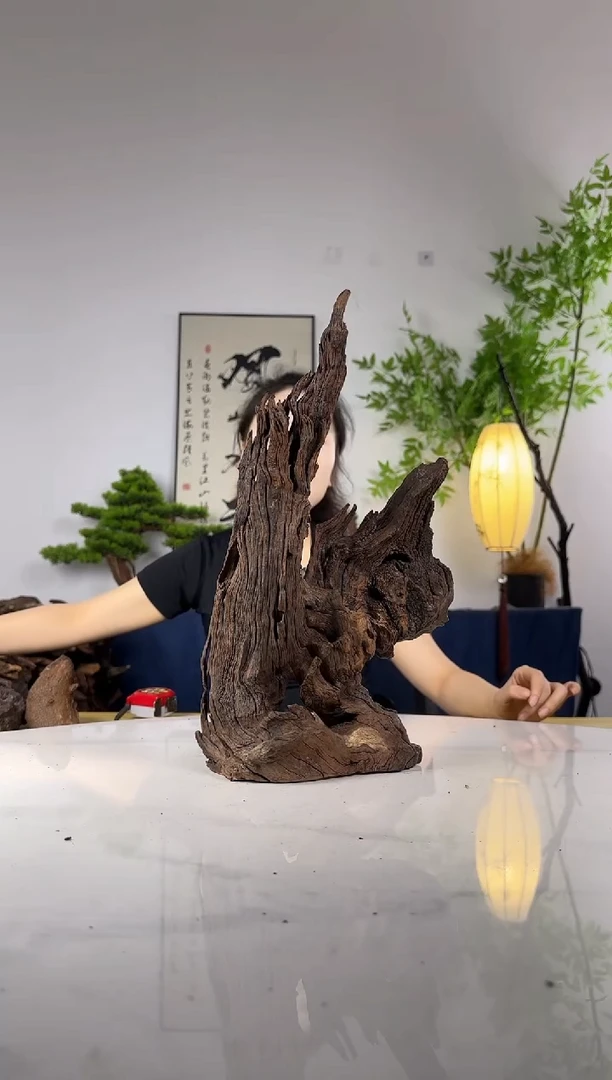 山***！拍这个定向编号47