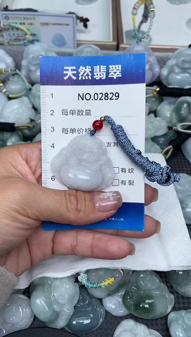 颈饰未镶嵌翡翠纯天然A货翡翠2829