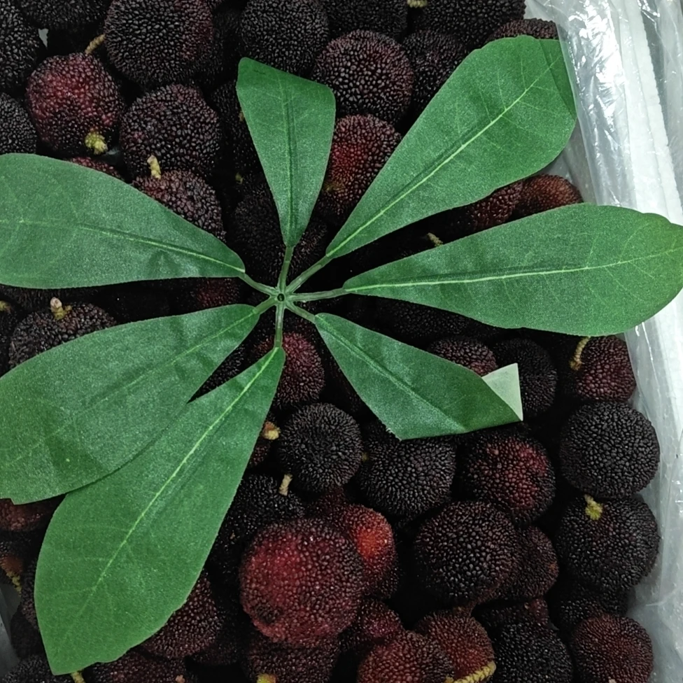 【新疆包邮】新鲜云南大果杨梅 酸甜多汁