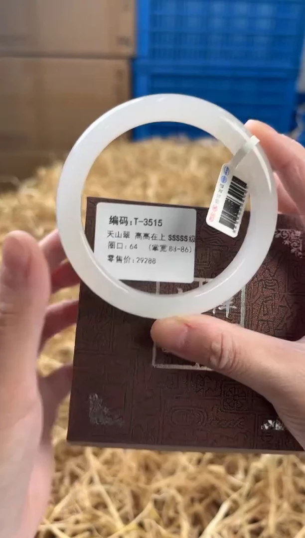 未镶嵌手镯石英质玉T-3515