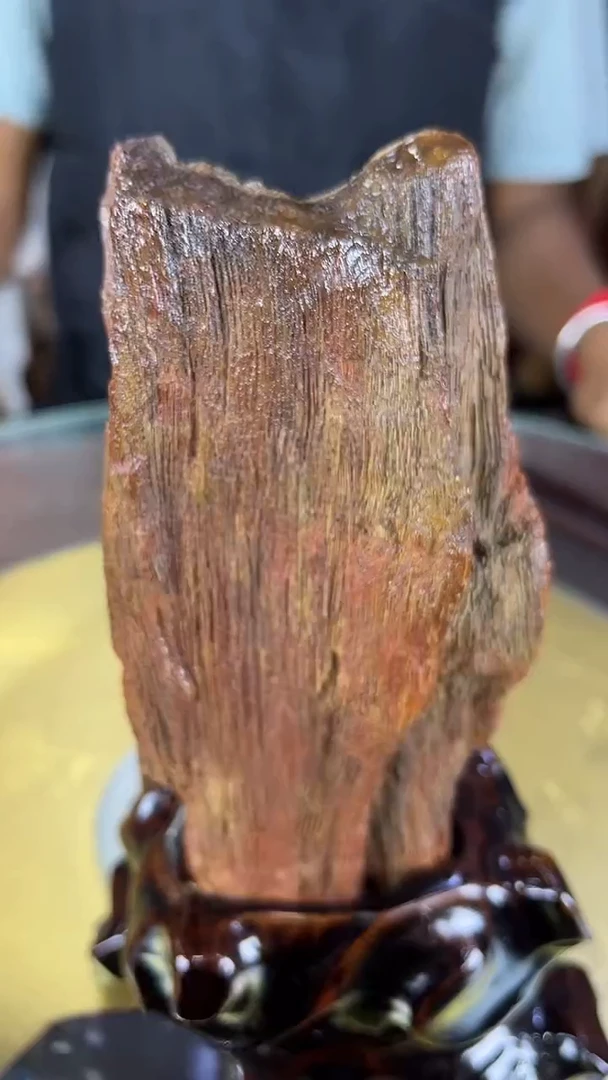 缅甸天然树化玉摆件