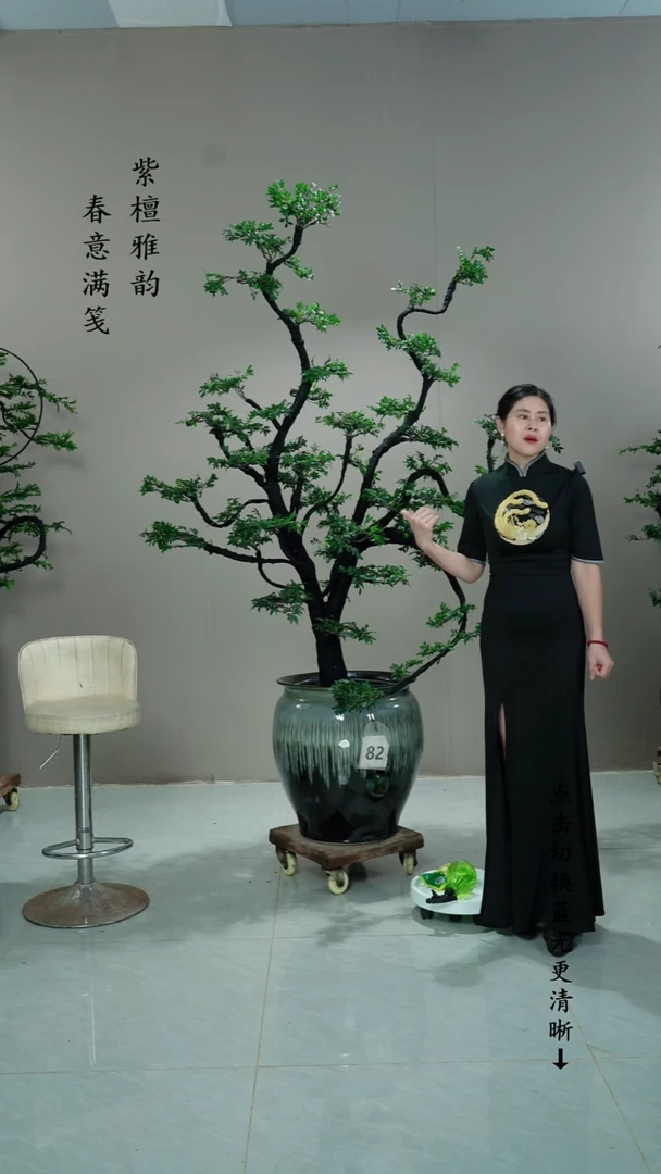 无花朵顺*82号链接