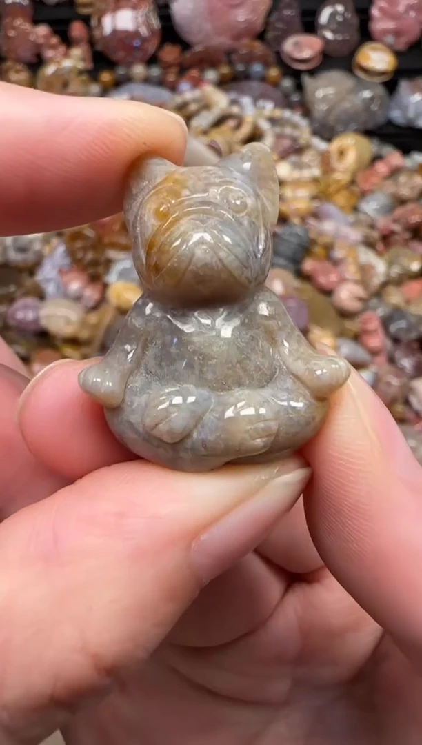 颈饰未镶嵌硅化珊瑚（珊瑚玉）085