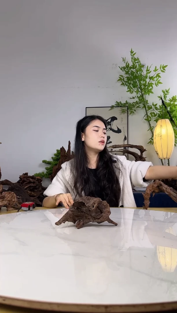 裂***圆拍沉木定向链接编号39