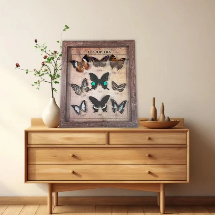 9只蝴蝶拼盘集锦生日送女友闺蜜创意礼物家具蝴蝶标本相框摆件