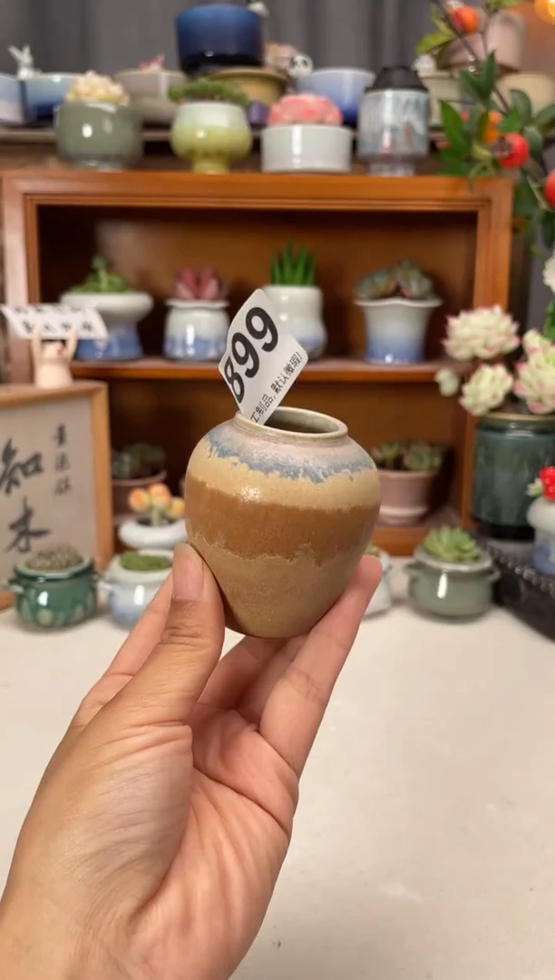 瓷片899知木小芳花盆