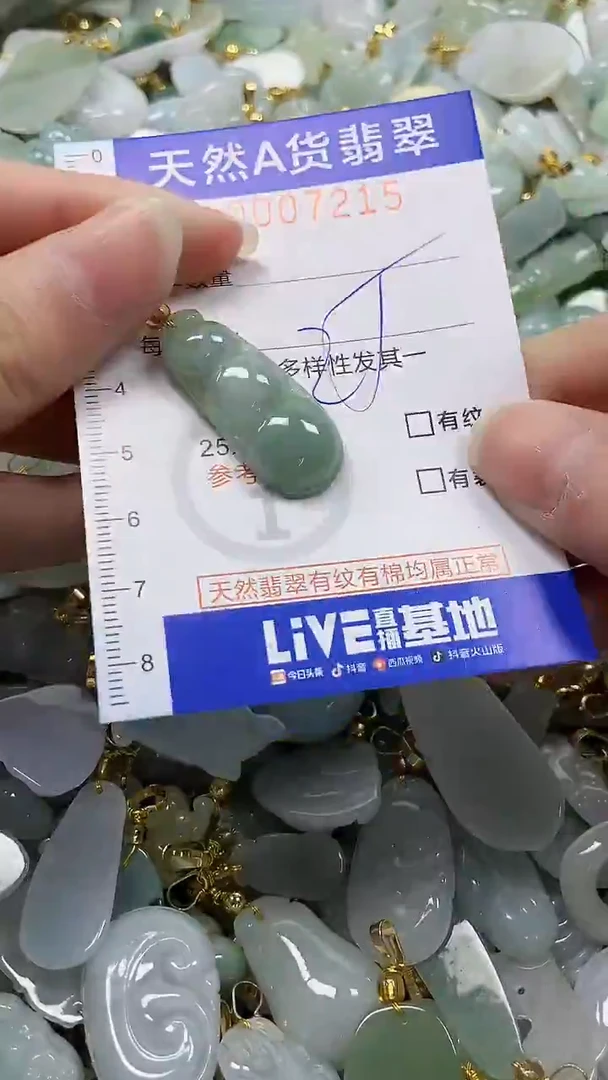 颈饰未镶嵌翡翠纯天然a货翡翠
