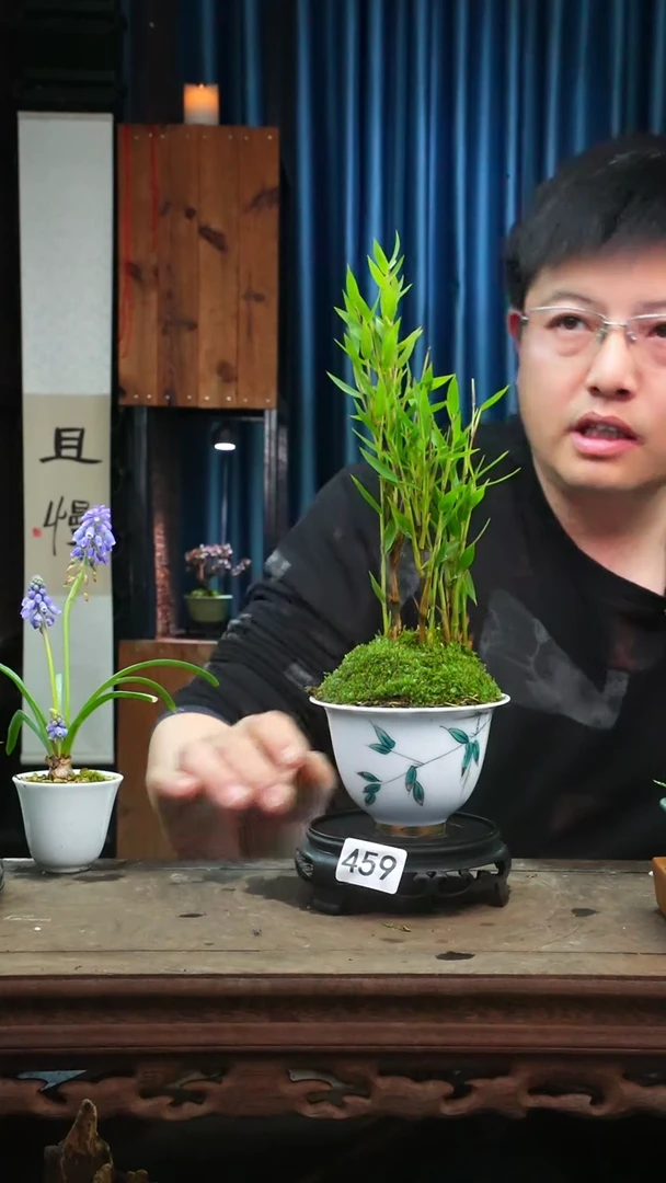 【闪购商品】苔藓微景观459号