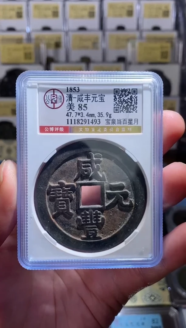 【闪购商品】铜王玺甄选 咸丰元宝当百星月