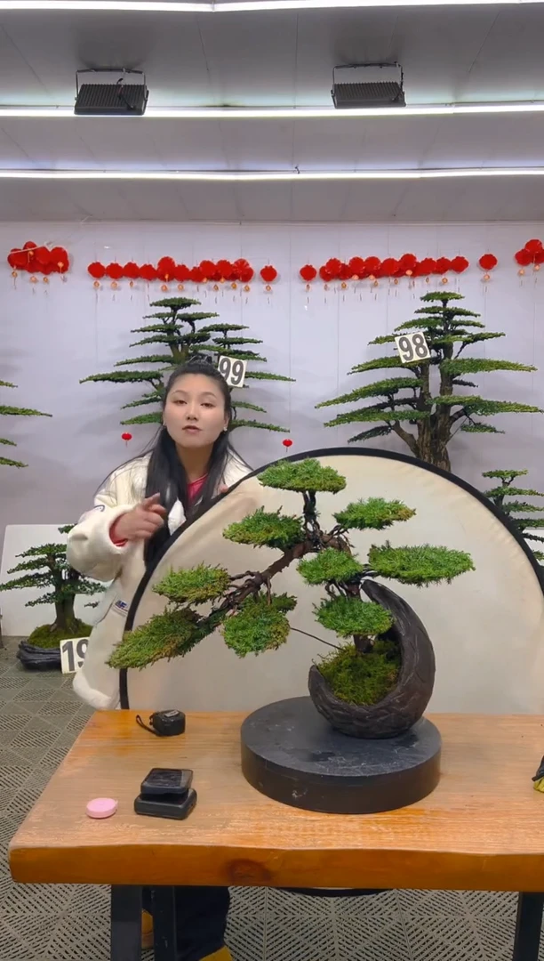 【闪购商品】盆景1