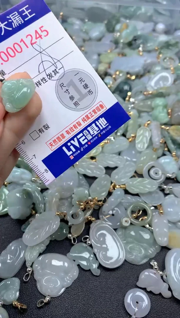 颈饰未镶嵌翡翠1245