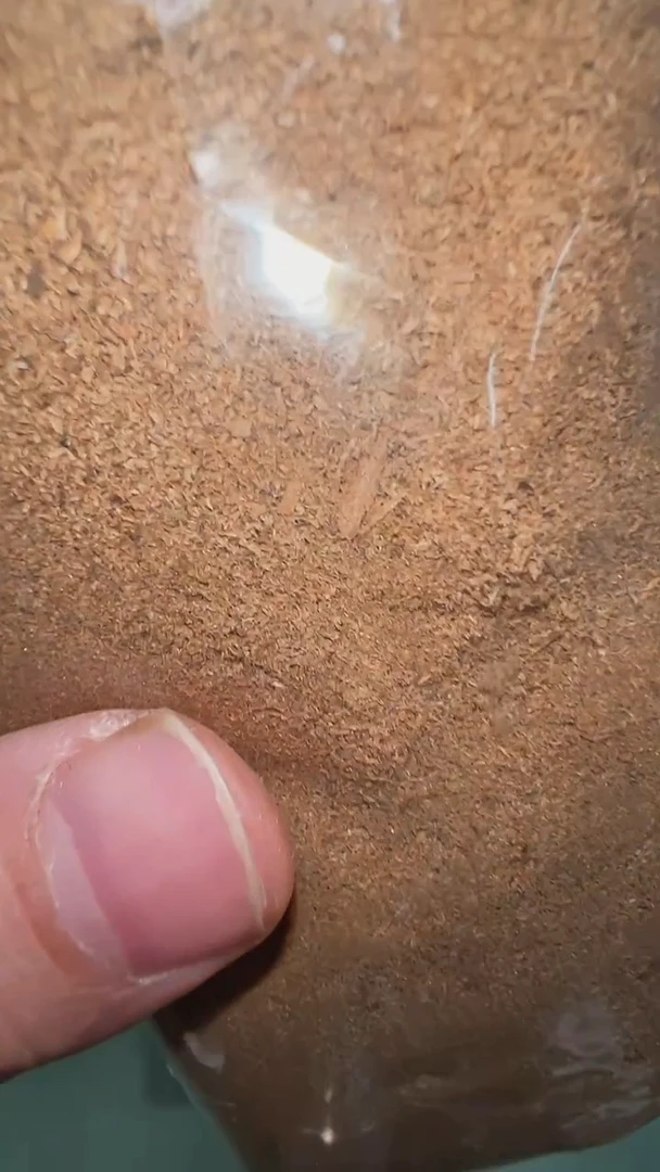 坤甸车珠锯沫1g装