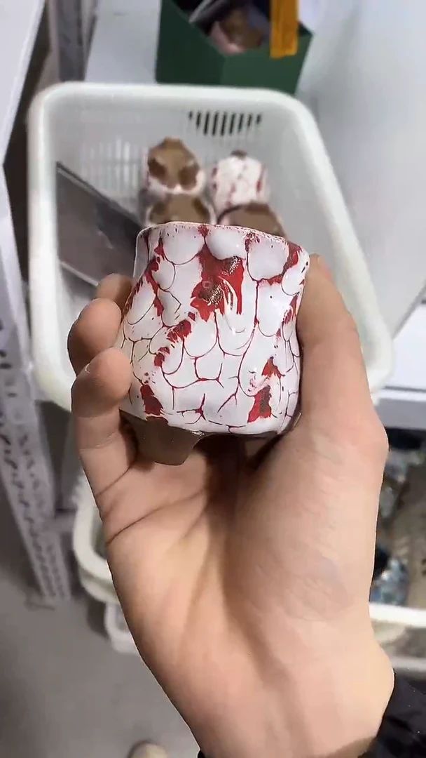 【闪购商品】瓷片陶瓷茶器孤品85