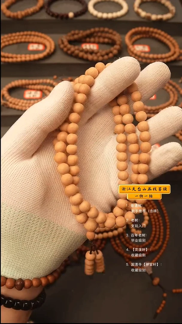 吊坠五线菩提一*y脖挂