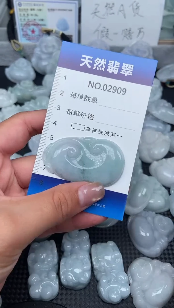 颈饰未镶嵌翡翠纯天然A货翡翠2909