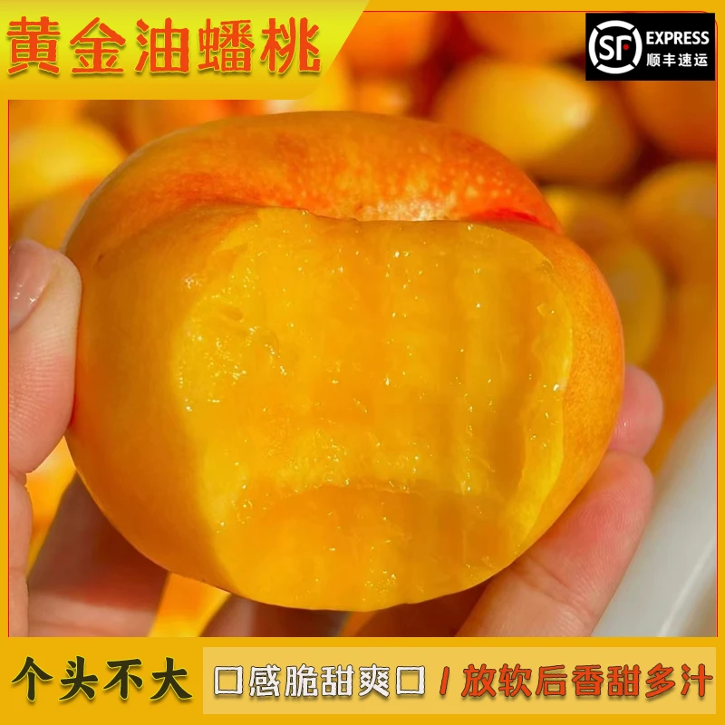 【黄金油蟠桃】随州无毛油桃生态应季鲜果脆果发货软后香甜顺丰包邮