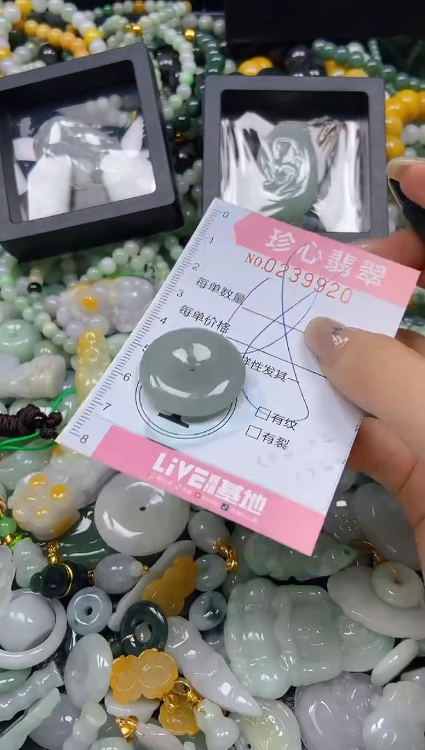 翡翠未镶嵌颈饰闪购0239920