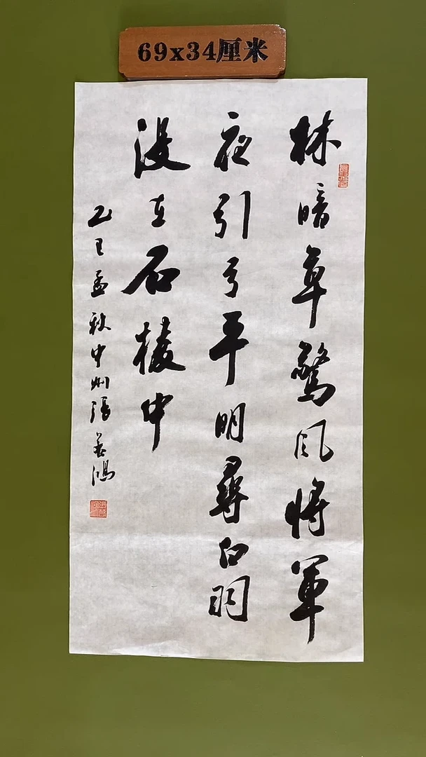 书法书法 张若鸿 尺寸69cm*34cm