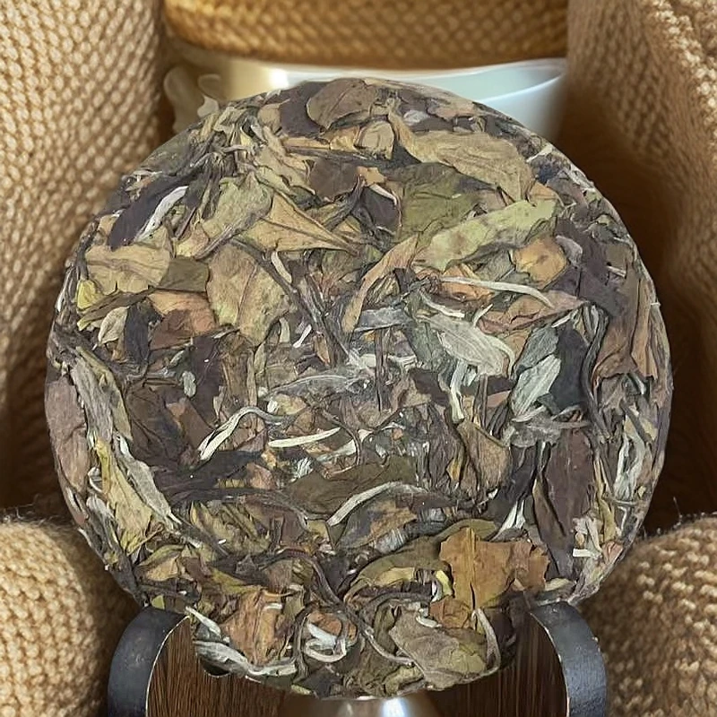2023年云南临沧南美高山白茶饼200g