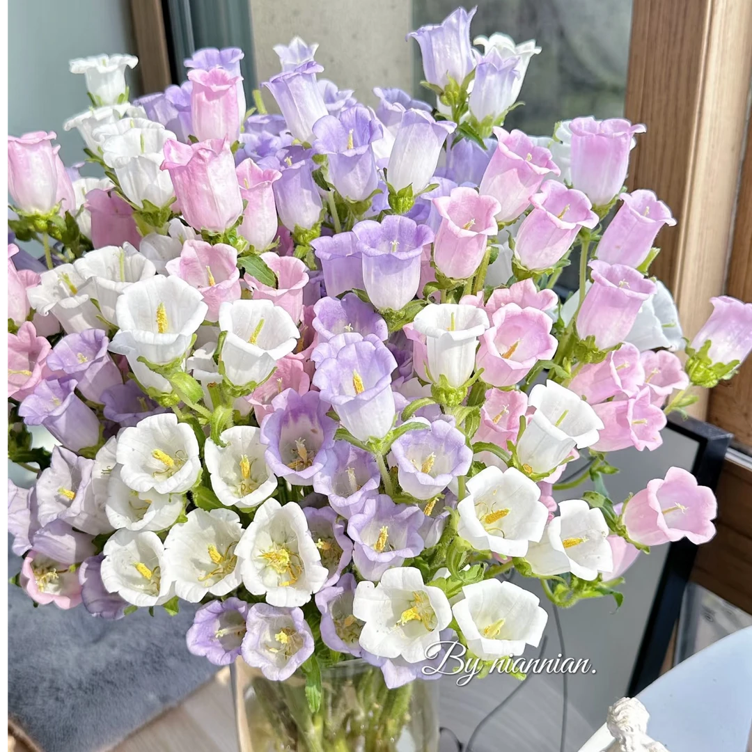 家居办公生活花站精选A+小清新风铃花一把颜色可选