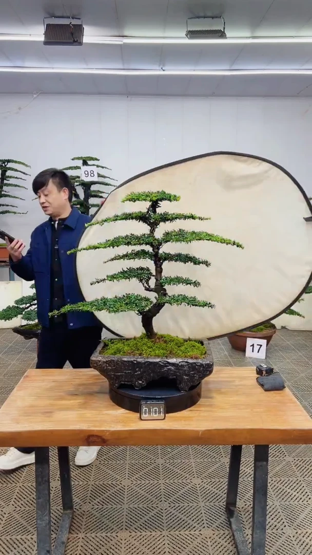 无花朵一物一拍一物一拍