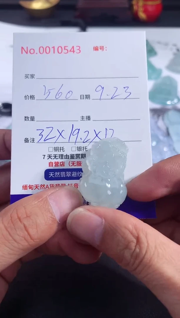 颈饰未镶嵌翡翠貔貅