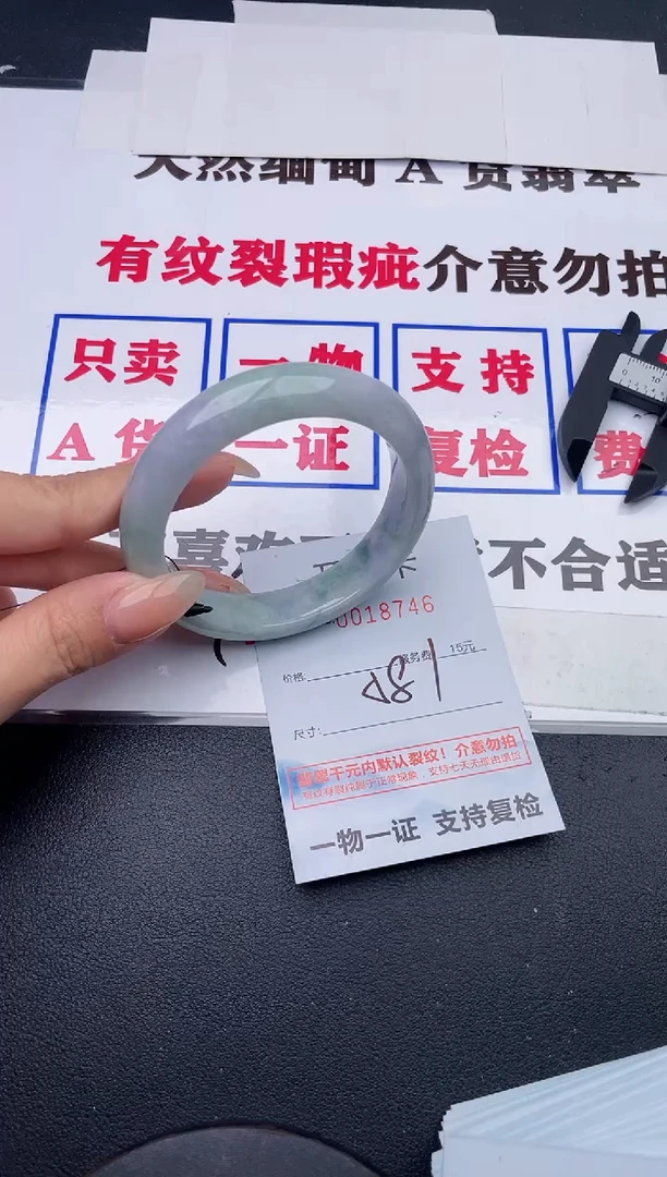 未镶嵌手镯翡翠46