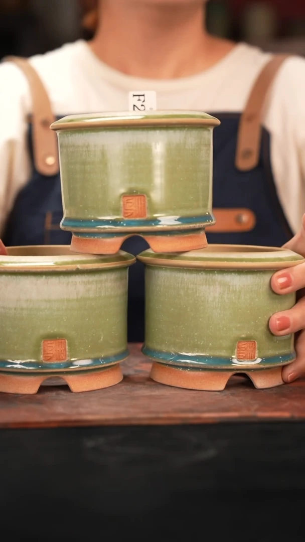 7-10-271花盆口径9混发1个