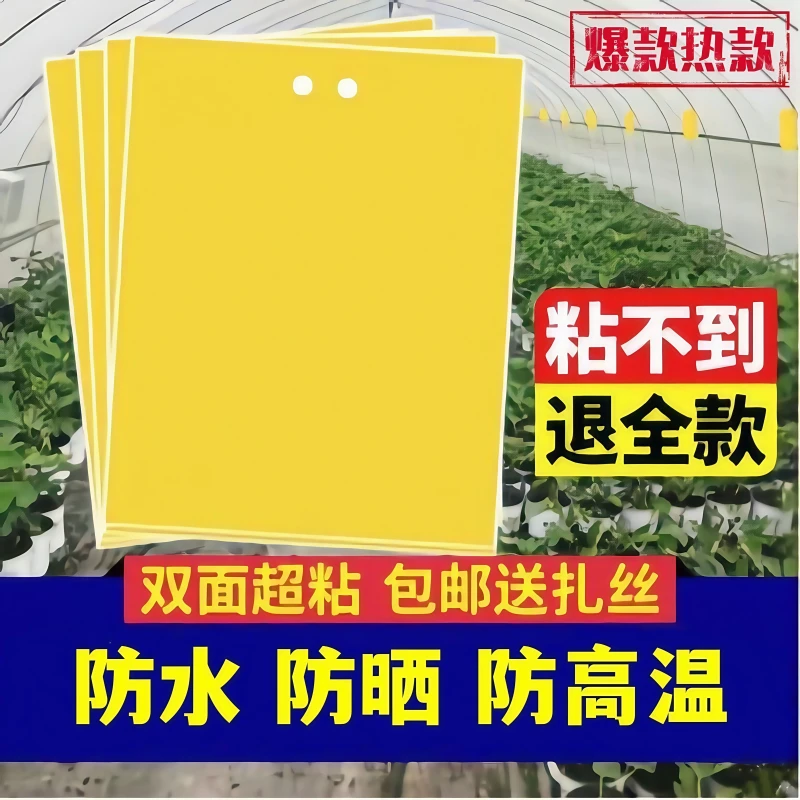 粘虫板黄板双面诱虫板贴纸灭小飞虫沾果蝇诱捕器果园蚊子苍蝇大棚
