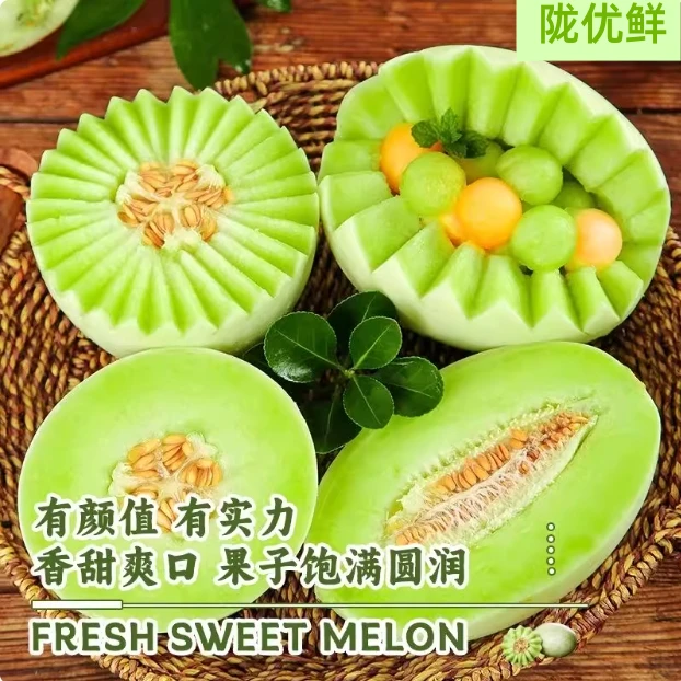 陇优鲜民勤头茬新鲜银蒂蜜瓜 果香清甜肉厚爽口产地直发