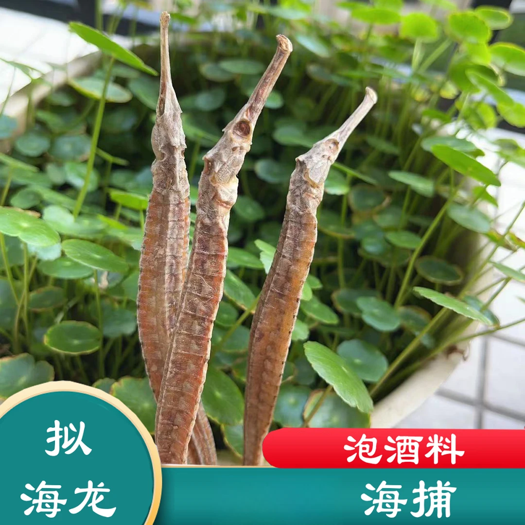 北部湾深海以海龙三角海龙大号海龙干泡酒浸酒料男性滋补煲汤料