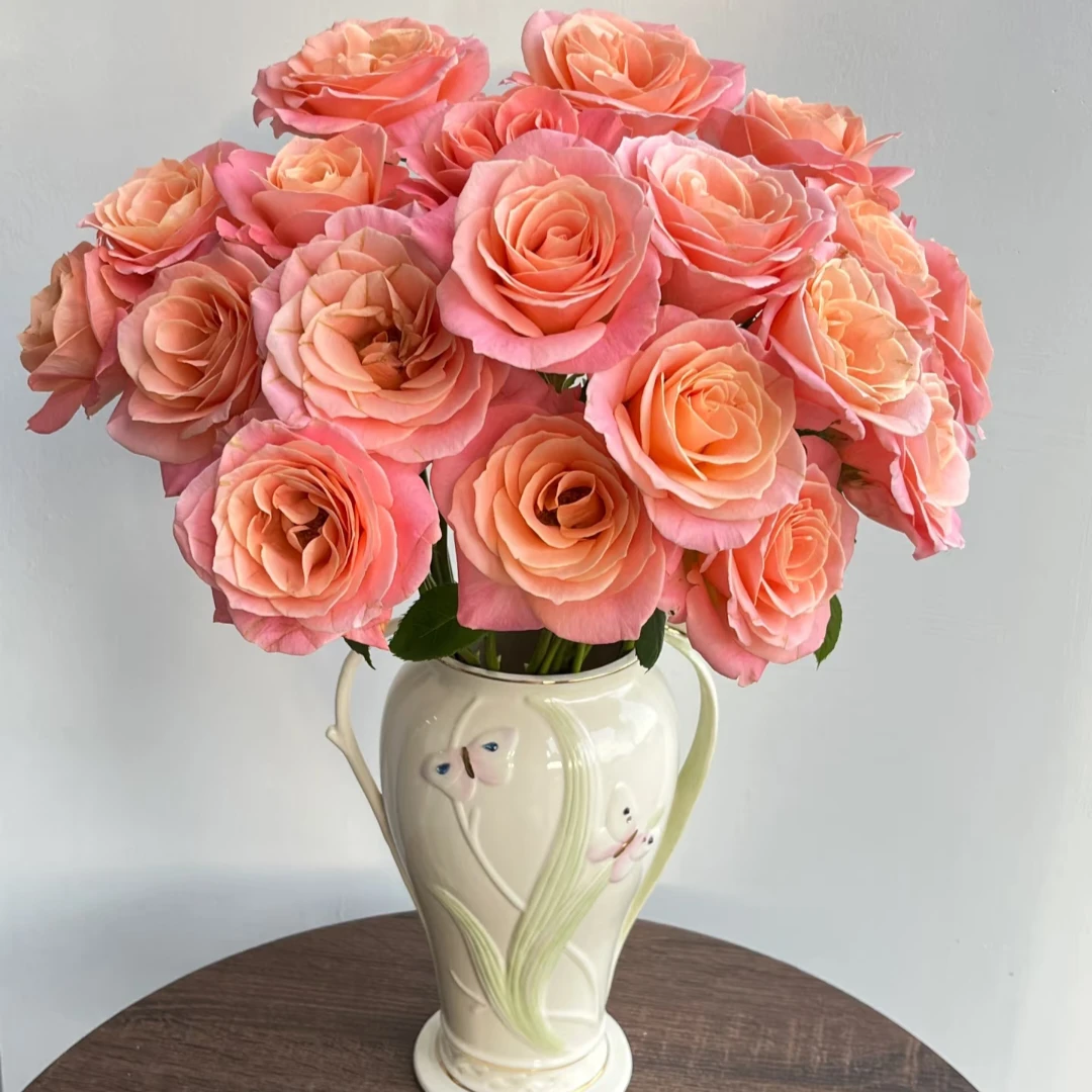 【全疆顺丰包邮】方德-A级猪小姐单头玟瑰 居家生活鲜花