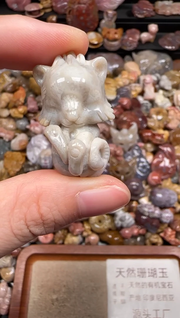 硅化珊瑚（珊瑚玉）未镶嵌颈饰789