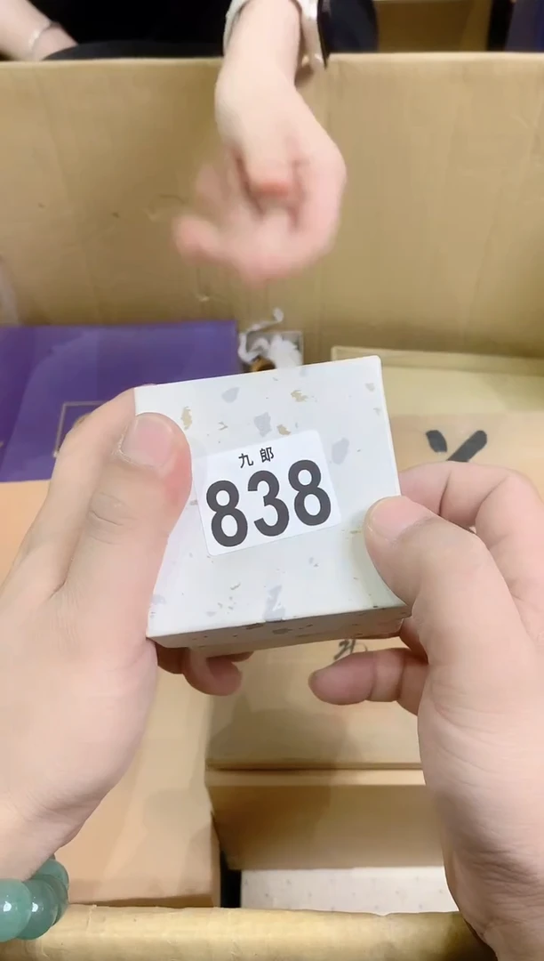 【闪购商品】瓷片838billionblxbillio