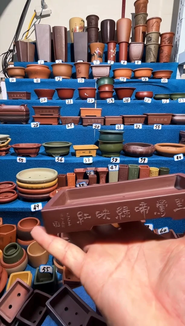 【闪购商品】紫砂紫砂花盆15.7*1.7微暇