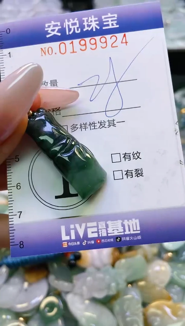 翡翠挂件未镶嵌闪购0199924