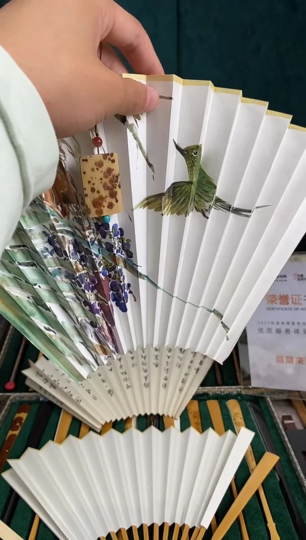 扇子扇面扇面扇面