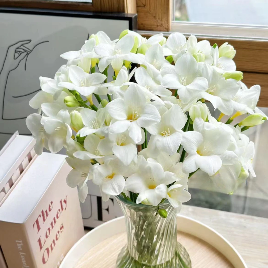 【一品花集】【极地雪香雪兰小苍兰】满屋飘香小清新全场任意一单包邮