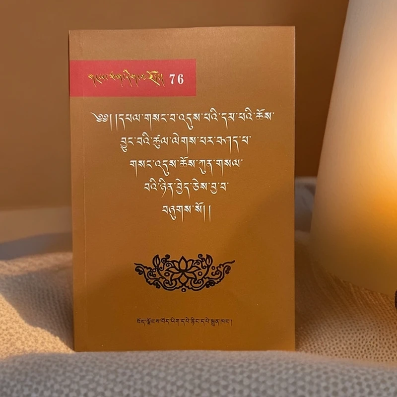 密集源流：藏文版书籍藏文书籍