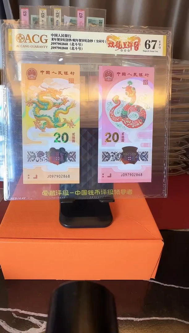 塑料2025 龙蛇全同号 一对 如图