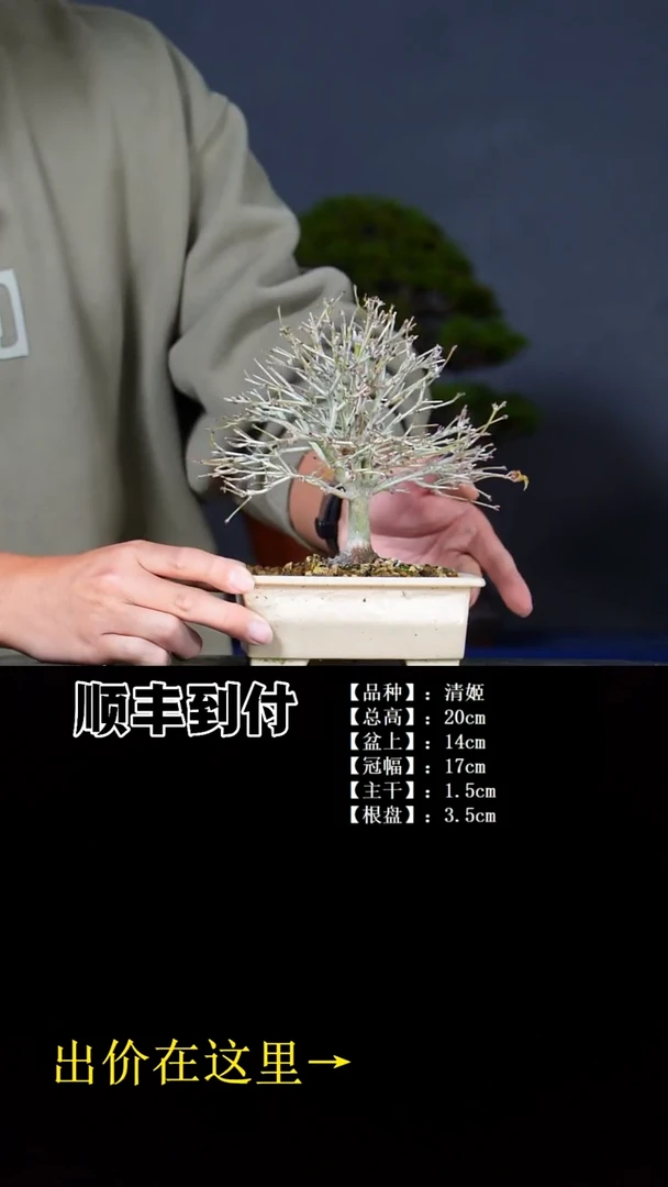 无花朵清姬bubapoyou