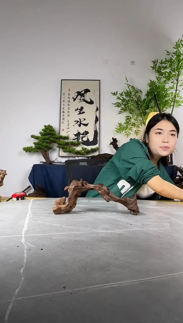 x*拍这个定向编号22