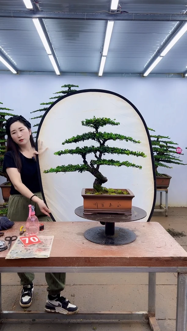 无花朵一物一拍，所见即所得