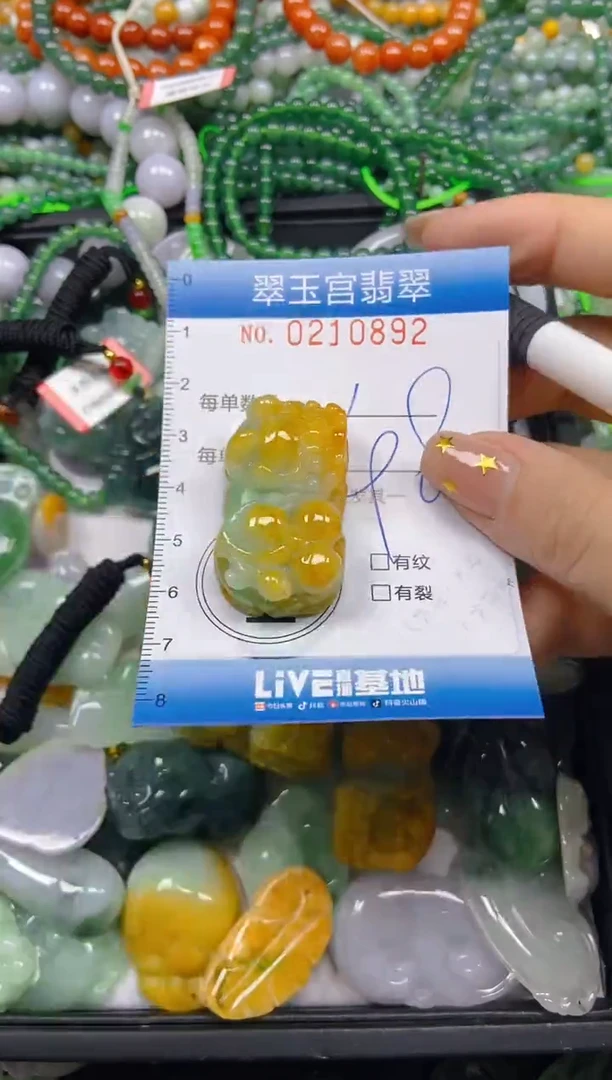 颈饰未镶嵌翡翠闪购C0210892