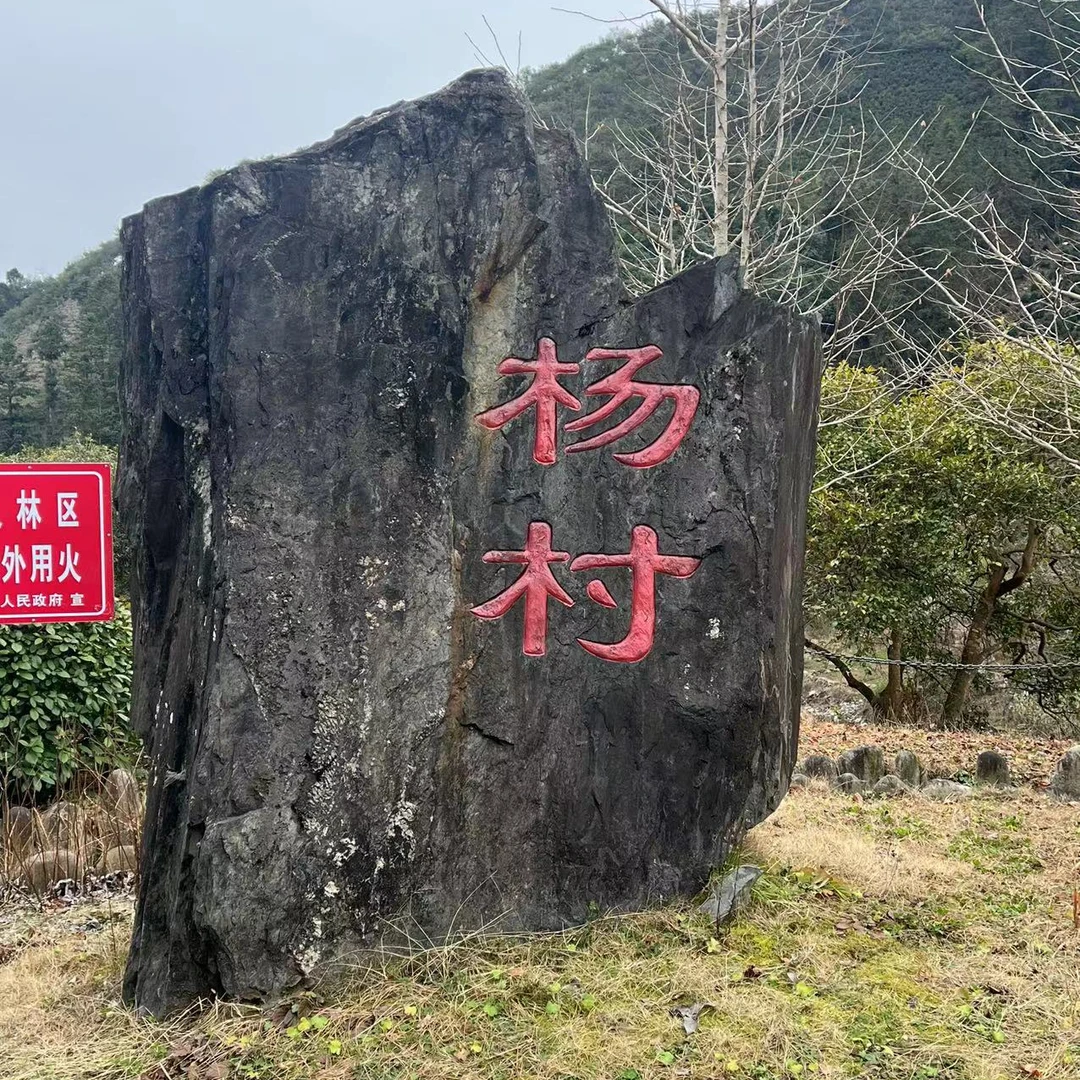 新茶【丑香】黄山风景区周边小山头群体种纯料毛峰