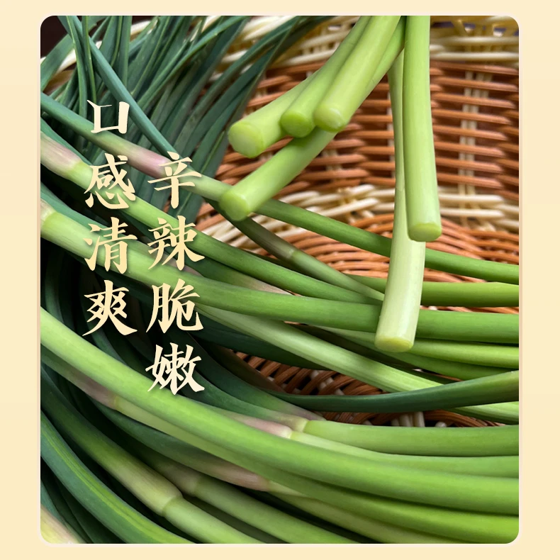 5斤农家自种红帽蒜苔现摘现发不泡药不打保鲜剂新鲜脆嫩蒜薹3斤