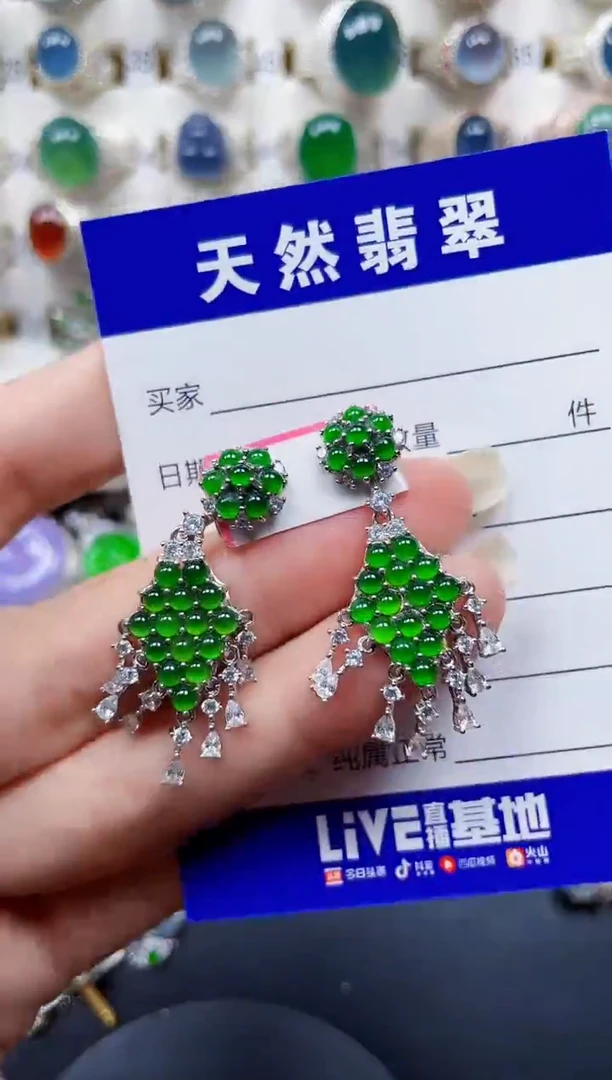 银S925镶嵌翡翠耳饰220