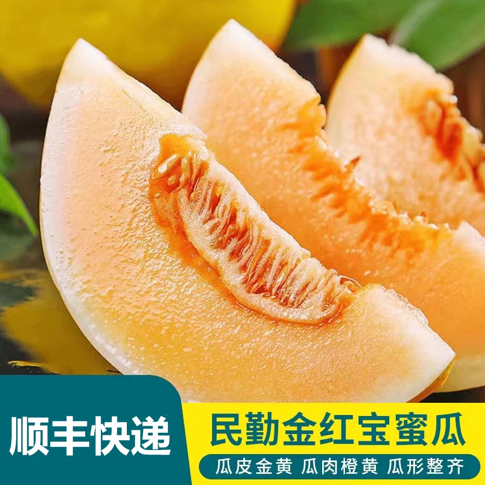 【顺丰直达】甘肃民勤蜜瓜4-5斤/6-7斤/8-9斤，产地直发坏果包赔