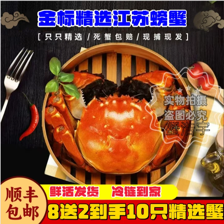 【金标活蟹】全母蟹8只装10只装㍚3-㍚7两洪泽湖螃蟹顺丰包邮礼盒装